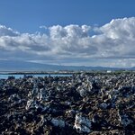 Photo taken by Katarzyna W