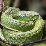 Photo taken by Kristen L