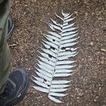 Photo taken by Dan J