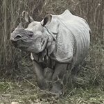 Photo taken by Carina S