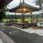 Photo taken by Brittany Leslie Lynn S