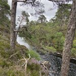 Photo taken by Marie D