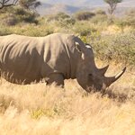 Photo taken by Joaquin M