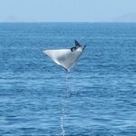 Photo taken by Wilbert A