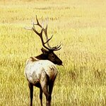 Photo taken by Leonique Q