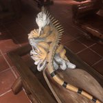 Photo taken by Juliette S