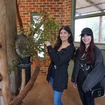 Photo taken by Kaitlin J