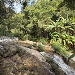 Photo taken by Paulette D