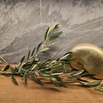 Photo taken by Candi S