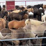 Photo taken by PETER S