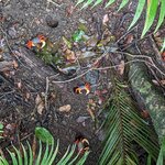 Photo taken by David G