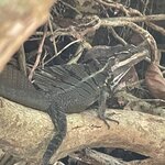 Photo taken by Kate R