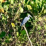 Photo taken by Luke T