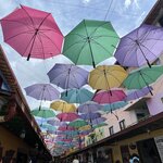 Photo taken by Sangini S