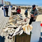 Photo taken by Ken N