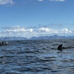 Photo taken by Jared B