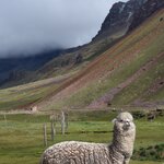 Photo taken by Joseph P