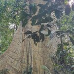 Photo taken by Karen P