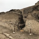 Photo taken by Ashley V