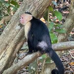 Photo taken by Sushma S