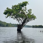 Photo taken by Marur Dev D