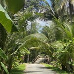 Photo taken by Jacqui O