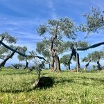 Photo taken by Erin J