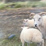 Photo taken by Dawn S