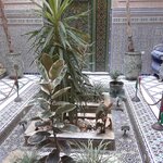 Photo taken by WILLIAM B