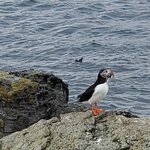 Photo taken by Christina L