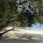 Photo taken by Shaula L