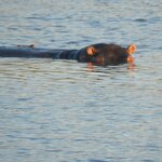 Photo taken by Linette B