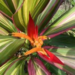 Photo taken by Victoria C