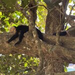 Photo taken by Ben B