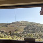 Photo taken by Shelley H