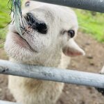 Photo taken by Sharon S