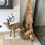 Photo taken by Tommy B