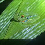 Photo taken by Kim L