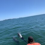 Photo taken by Luke T