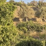 Photo taken by Angela R