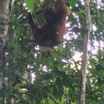 Photo taken by Tom C