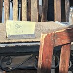 Photo taken by Beth M