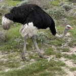 Photo taken by Paul B