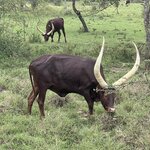 Photo taken by Michael L