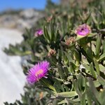 Photo taken by Megan E