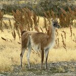 Photo taken by Nicole G