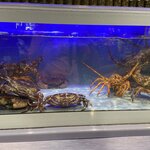 Photo taken by Catherine M