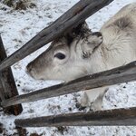 Photo taken by chelsea t