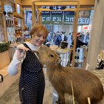 Photo taken by Ray S