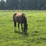 Photo taken by Shamma L